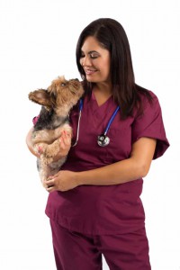 Dog-with-Veterinarian